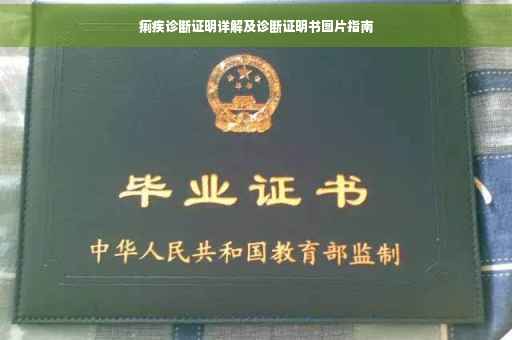 痢疾诊断证明详解及诊断证明书图片指南