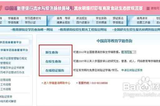 新疆银行流水与经济脉络揭秘，流水明细打印指南及金融生态微观洞察