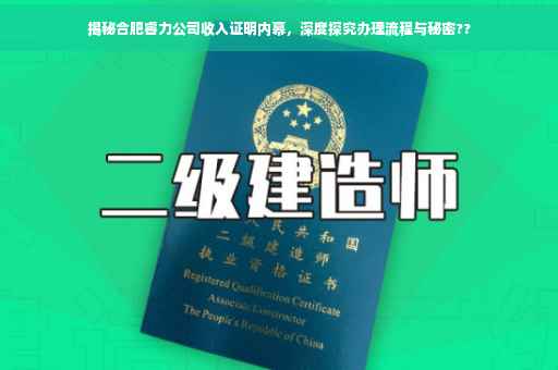 揭秘合肥睿力公司收入证明内幕，深度探究办理流程与秘密??