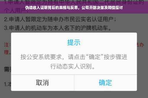 伪造收入证明背后的真相与反思，公司开除决策及赔偿探讨