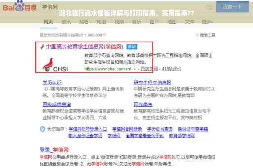 湖北银行流水模板详解与打印指南，实用指南??