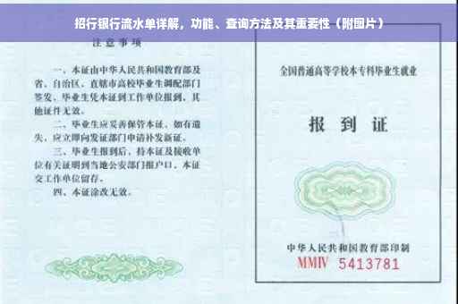 招行银行流水单详解，功能、查询方法及其重要性（附图片）