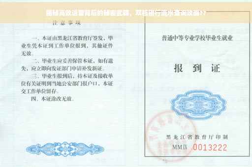 揭秘高效运营背后的秘密武器，双核银行流水查询攻略??