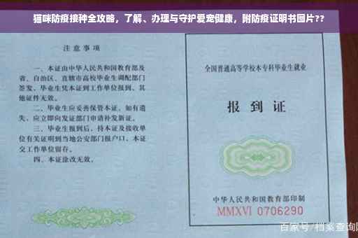 猫咪防疫接种全攻略，了解、办理与守护爱宠健康，附防疫证明书图片??