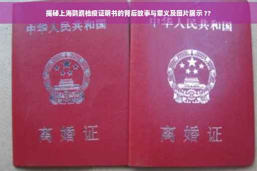 揭秘上海鹦鹉检疫证明书的背后故事与意义及图片展示 ??