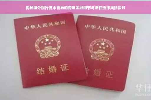 揭秘国外银行流水背后的跨境金融细节与潜在法律风险探讨