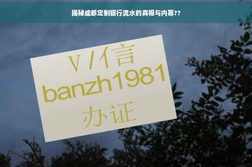 揭秘成都定制银行流水的真相与内幕??