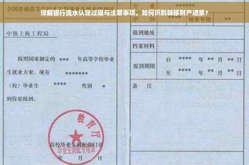 详解银行流水认定过程与注意事项，如何识别转移财产迹象？