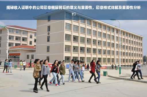 揭秘收入证明中的公司印章椭圆背后的意义与重要性，印章格式详解及重要性分析?✨