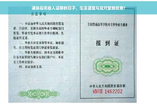 退休后无收入证明的日子，生活调整与应对策略指南?
