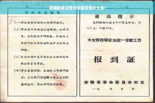 肾癌疾病证明书详解及图片大全?
