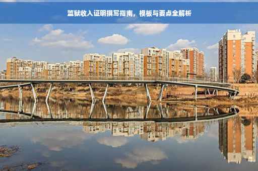 监狱收入证明撰写指南，模板与要点全解析