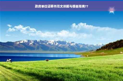 政府单位证明书范文详解与模板指南??
