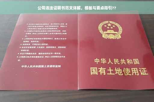 公司违法证明书范文详解，模板与要点指引??