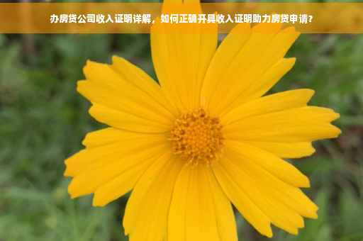 办房贷公司收入证明详解，如何正确开具收入证明助力房贷申请？