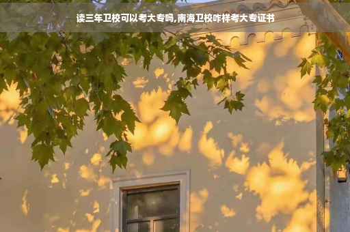 读三年卫校可以考大专吗,南海卫校咋样考大专证书