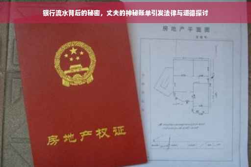 银行流水背后的秘密，丈夫的神秘账单引发法律与道德探讨