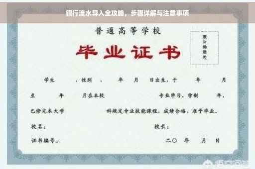 银行流水导入全攻略，步骤详解与注意事项