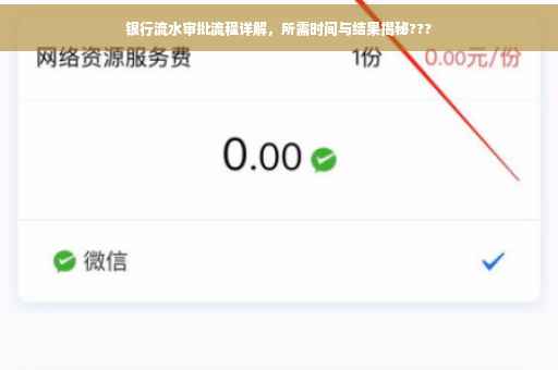 银行流水审批流程详解，所需时间与结果揭秘???