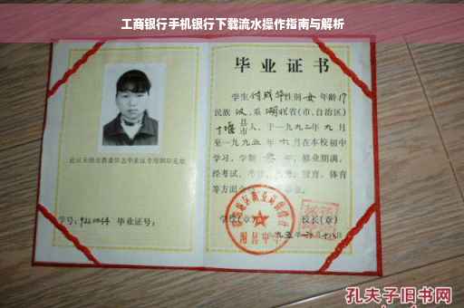 工商银行手机银行下载流水操作指南与解析