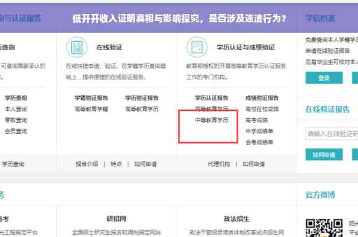 低开开收入证明真相与影响探究，是否涉及违法行为？