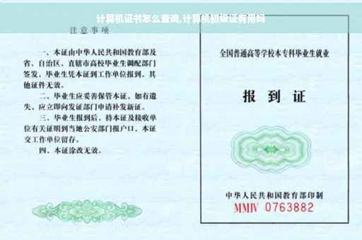 计算机证书怎么查询,计算机初级证有用吗