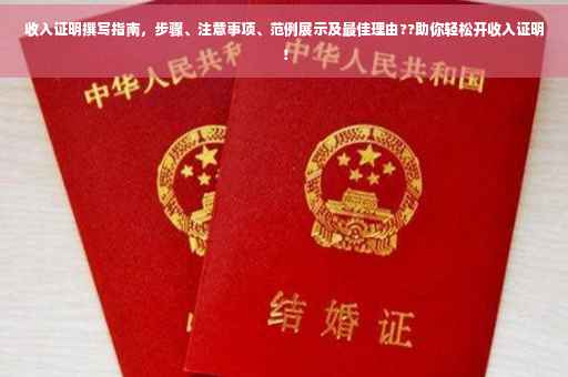 收入证明撰写指南，步骤、注意事项、范例展示及最佳理由??助你轻松开收入证明！