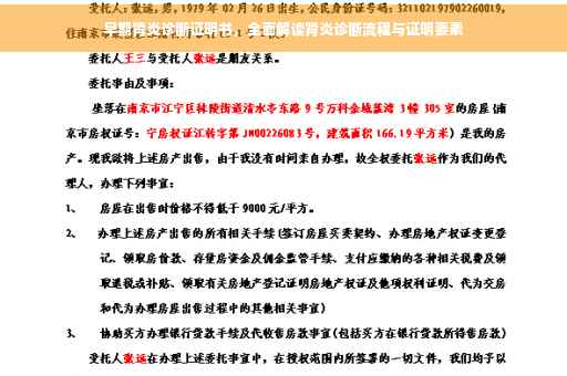早期肾炎诊断证明书，全面解读肾炎诊断流程与证明要素