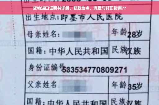 货物进口证明书详解，获取地点、流程与打印指南??