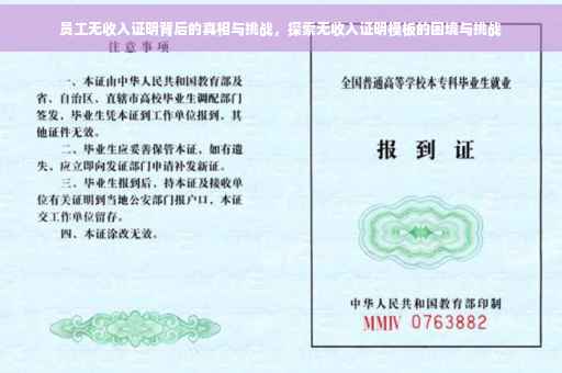 员工无收入证明背后的真相与挑战，探索无收入证明模板的困境与挑战