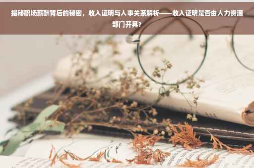 揭秘职场薪酬背后的秘密，收入证明与人事关系解析——收入证明是否由人力资源部门开具？