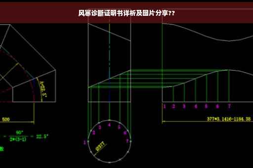 风寒诊断证明书详析及图片分享??