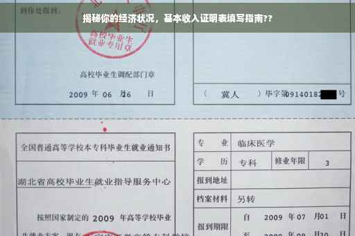 揭秘你的经济状况，基本收入证明表填写指南??