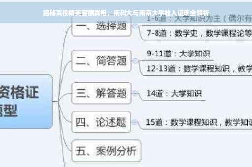 揭秘高校精英薪酬真相，南科大与南京大学收入证明全解析