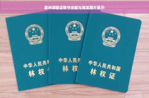 澳洲遗嘱证明书详解与真实图片展示