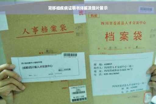 肾移植疾病证明书详解及图片展示