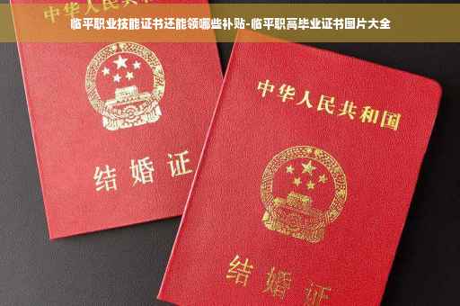 临平职业技能证书还能领哪些补贴-临平职高毕业证书图片大全
