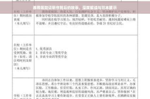 湘雅医院证明书背后的故事，深度解读与范本展示