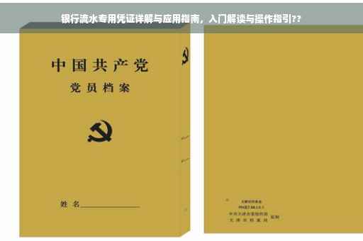 银行流水专用凭证详解与应用指南，入门解读与操作指引??