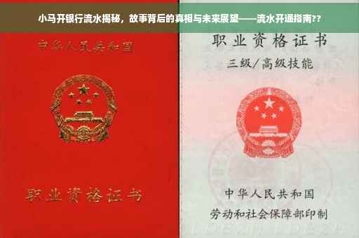 小马开银行流水揭秘，故事背后的真相与未来展望——流水开通指南??