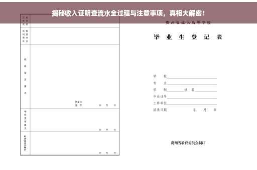 揭秘收入证明查流水全过程与注意事项，真相大解密！