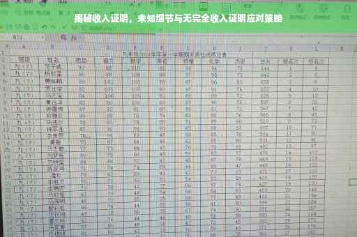 揭秘收入证明，未知细节与无完全收入证明应对策略