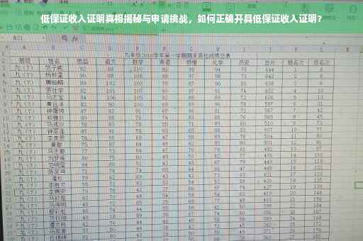 低保证收入证明真相揭秘与申请挑战，如何正确开具低保证收入证明？