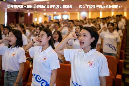 揭秘银行流水与地址证明的重要性及办理流程——深入了解银行流水地址证明??