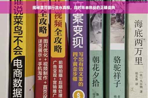 揭秘漯河银行流水真相，应对账单挑战的正确姿势