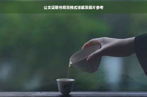 公文证明书规范格式详解及图片参考