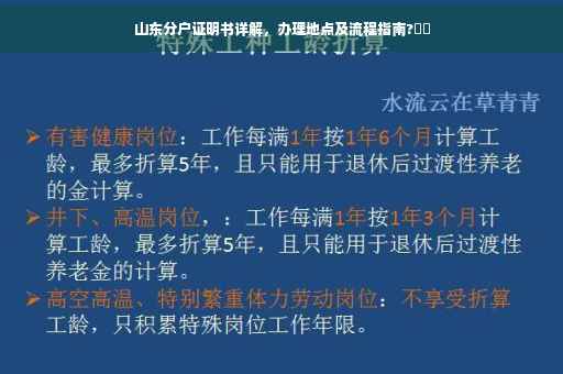 山东分户证明书详解，办理地点及流程指南?⚡️