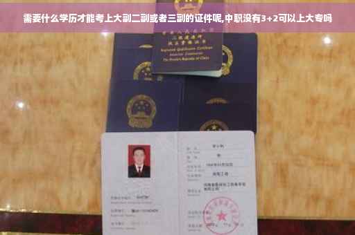 需要什么学历才能考上大副二副或者三副的证件呢,中职没有3+2可以上大专吗