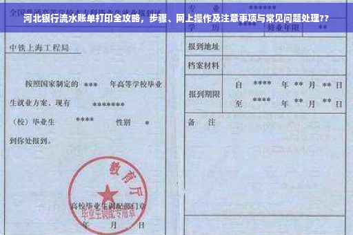 河北银行流水账单打印全攻略，步骤、网上操作及注意事项与常见问题处理??