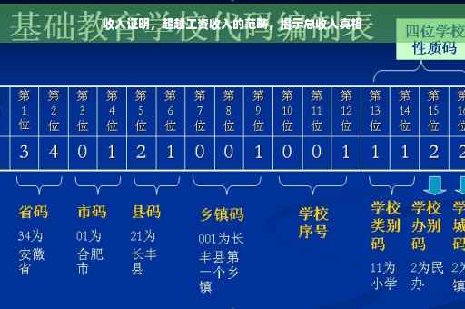 收入证明，超越工资收入的范畴，揭示总收入真相